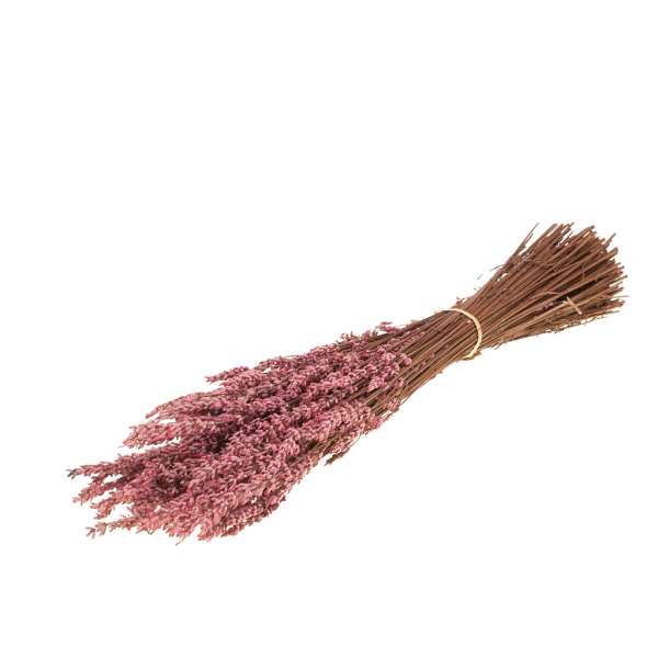 Stabilizované kvety Lavender preserved pink zväzok